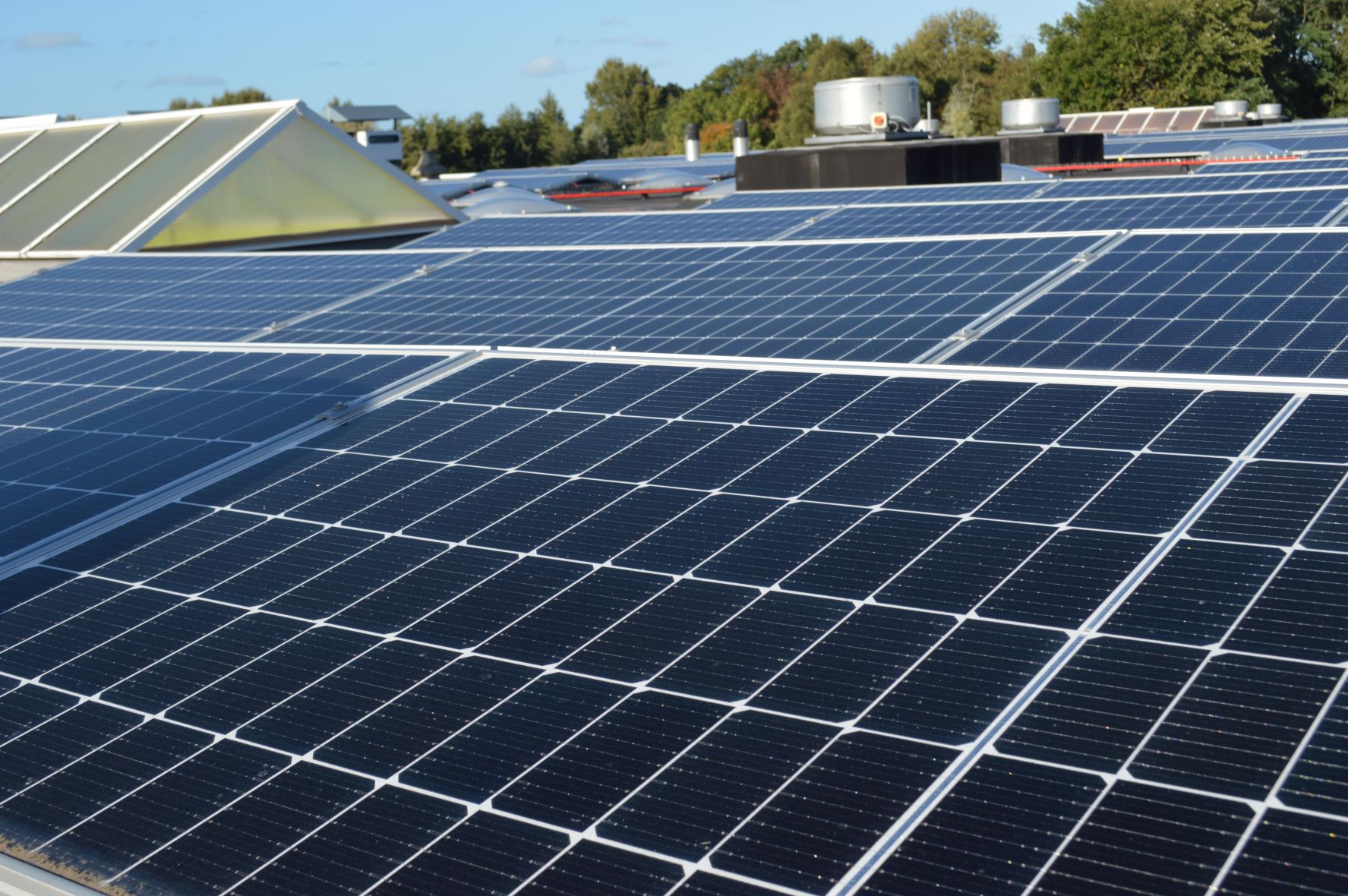 Een dak vol met zonnepanelen dankzij Realisatiefonds