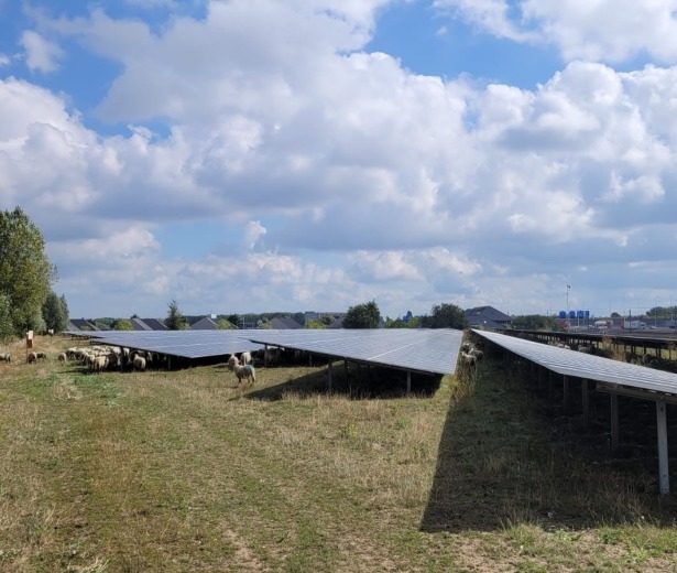 Het Verhaal Van Energiecoöperatie De Groene Stroom 1
