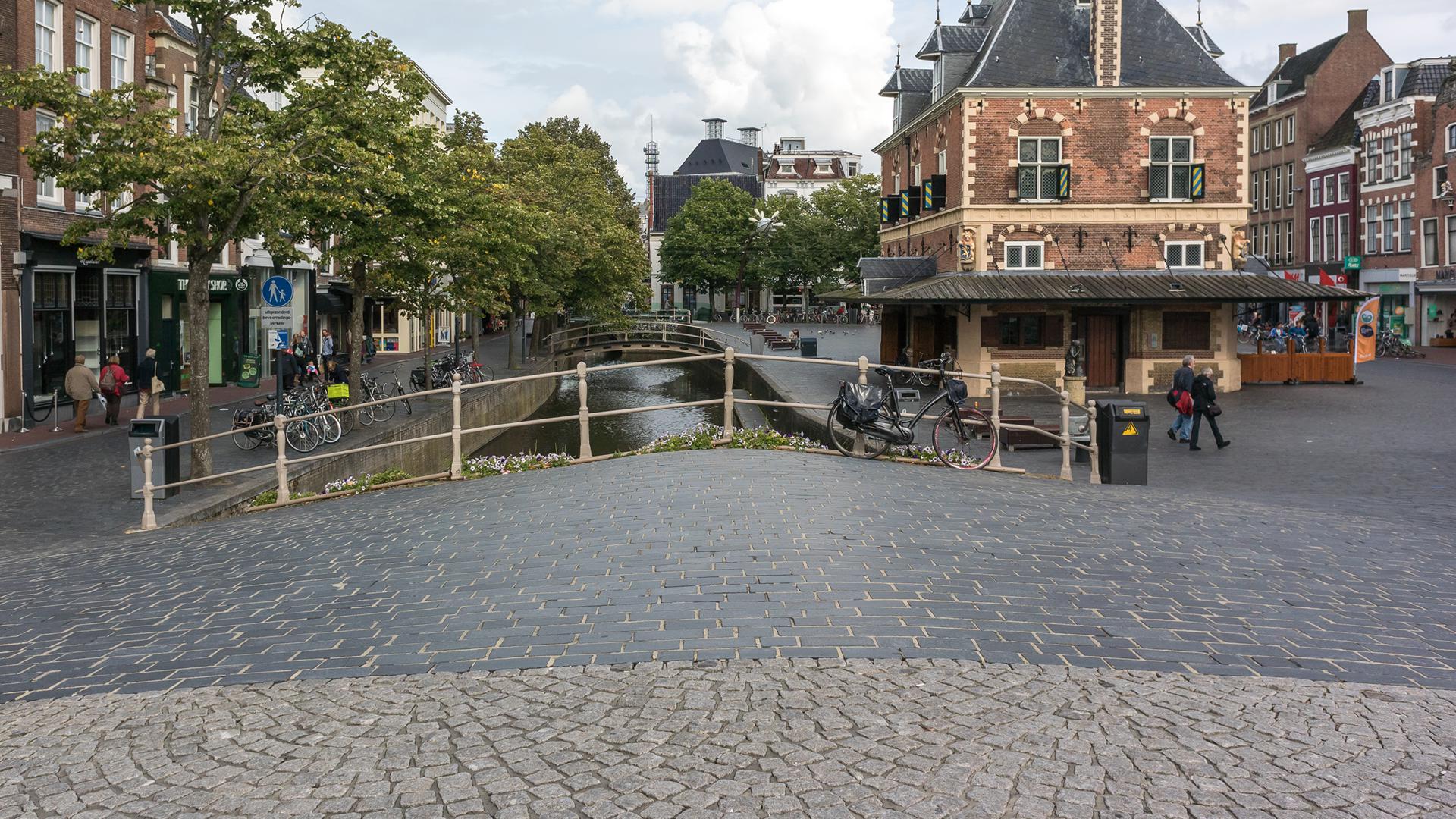 Een brug met daarachter een sloot, gebouwen en bomen midden in de stad