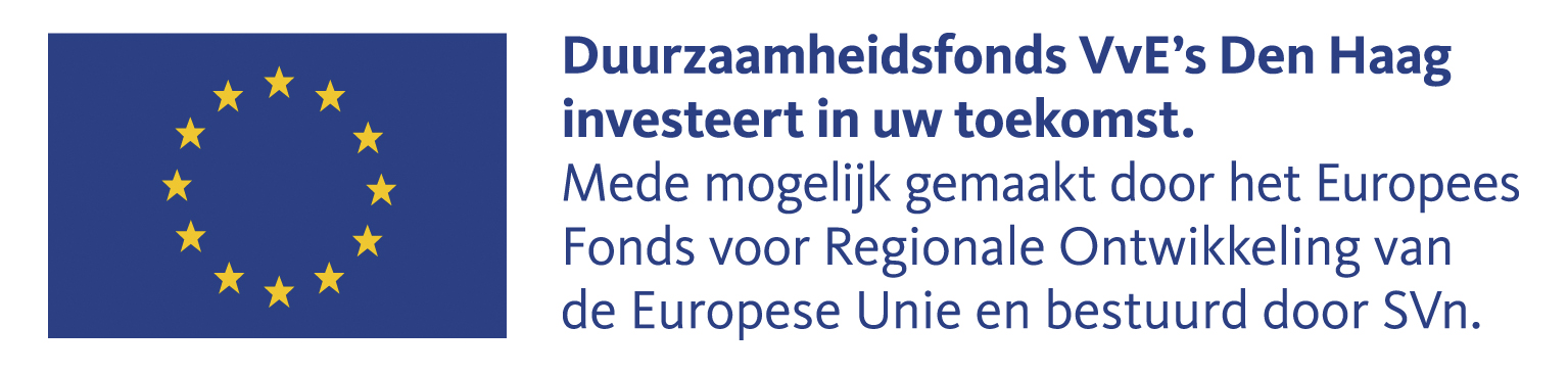 VVE Den Haag Europees RGB