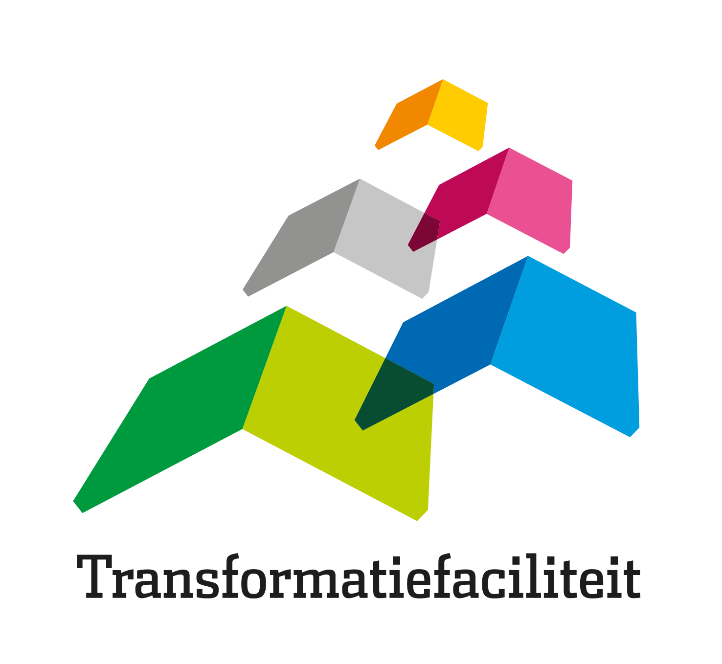Transformatiefaciliteit